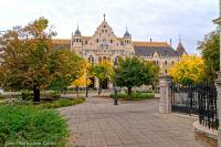 Study tour Kecskemét belvárosa 2025.10.21.