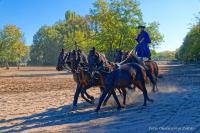 Study tour Új Tanyacsárda Felsőlajos 2025.10.20.